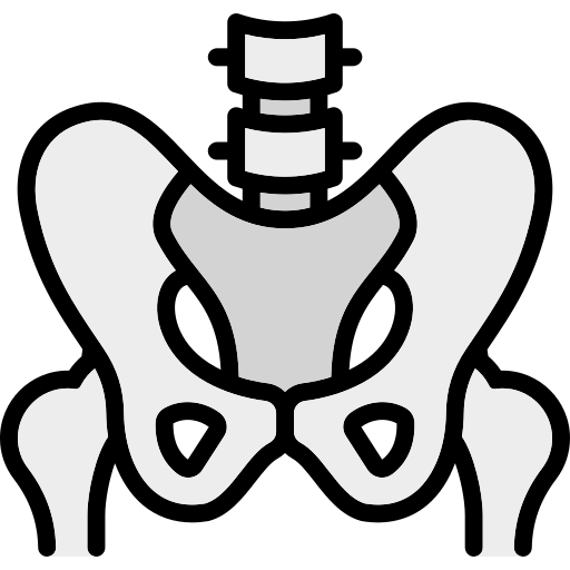 Icono Extremidades y Pelvis